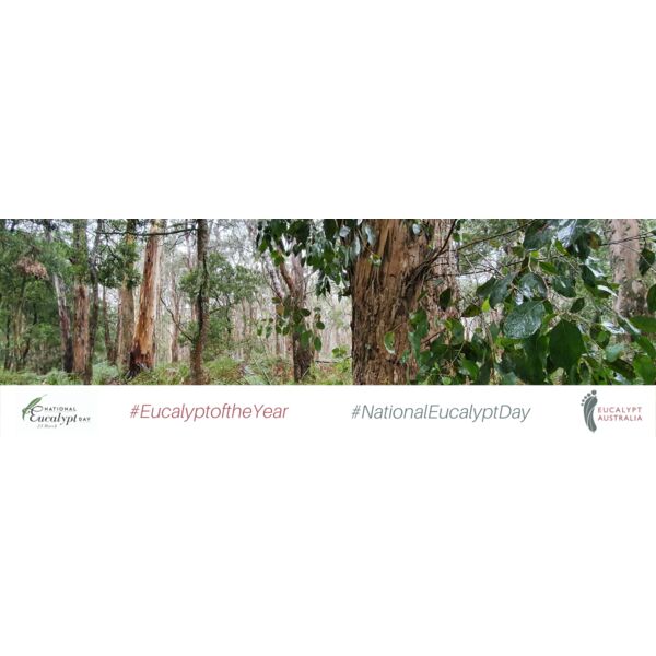 Eucalypt 2022 email banner large Thumbnail