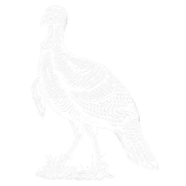 New Turkey logo 2 Thumbnail